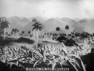 Sierra de los Organos, 1896, 1920-talet