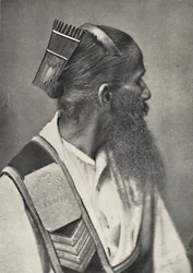 Singalesisk tjänare med sköldpaddskam, 1926