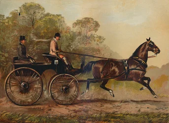 Singelsele Phaeton Horse Columbine. Egendom av Charles Baynes Esq., 1872, c1879