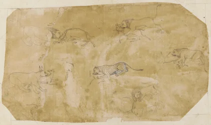 Sex grupper av kampdjur, 1700-tal.