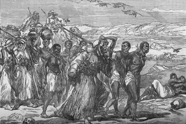 Slavgäng som korsar den afrikanska öknen, c1881-85