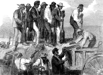 Slavarbete som stärker befästningarna i Savannah, Georgia, amerikanska inbördeskriget, 1863