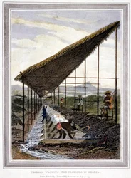 Slavar som tvättar för diamanter som övervakas av handledare med piskor, Brasilien, 1815