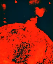 Solutbrott