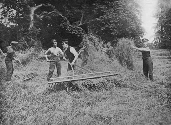 Soldater som hjälper bönderna genom att ta sig in i höet, 1915