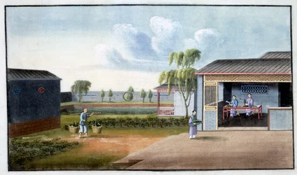 Tesortering, 1800-talet