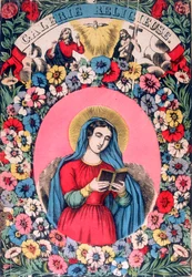 St Birgitta, 1800-talet