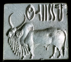 Steatitsäl med puckeltjur, Indusdalen, Mohenjo-Daro, 2500 - 2000 f.Kr.