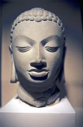 Stenhuvud av Buddha, Gupta, Indien, 500-talet