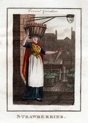 Jordgubbar, Covent Garden, London, 1805