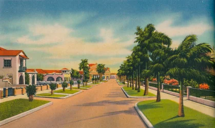 Gata i ett bostadsområde, Barranquilla, c1940-talet