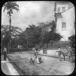 Gatubild, Pernambuco, Brasilien, sent 1800-tal eller tidigt 1900-tal