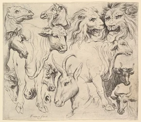 Studier av huvuden.