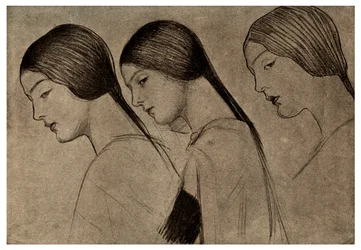 Studie, 1901