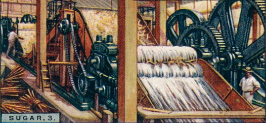 Sugar, 3. Crushing the Canes, Java, 1928