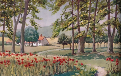 Sommar - De fysiska, kemiska och biologiska förändringarna som solen åstadkom under året, 1935