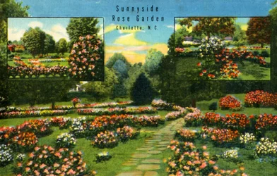Sunnyside Rose Garden, Charlotte, N.C., 1942.