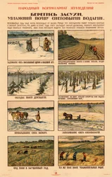 Vidta försiktighetsåtgärder mot torka., ca 1920-1921.
