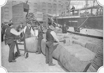 Tallying ullbalar vid London Docks, c1900 1901