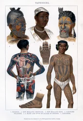 Tatuering, 1800-1900