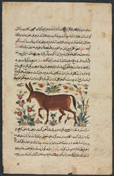 Textsida, persisk prosa recto, Khar Ass Verso, 1400-talet.