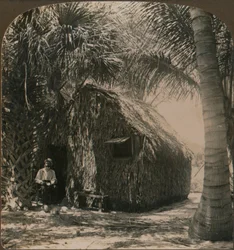 Halmtak stuga i Cocoanut Grove, Florida, U.S.A., c1900