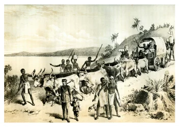 Ankomsten till sjön Ngami, 1883