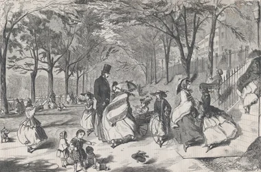 Boston Common Harper