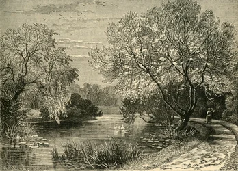 Botaniska trädgården, Regents Park, c1876.