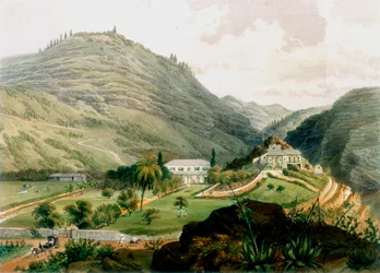 The Briars, St Helena, tidigt 1800-tal 1851