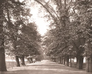 The Broad Walk, Oxford, 1894.