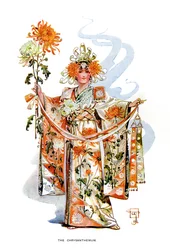 Krysantemum, 1899