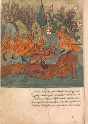 Kråkspionen talar med ugglornas kung och hans ministrar, Folio från en Kalila..., 1700-talet.