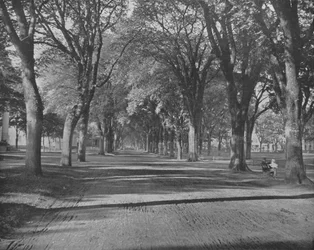 The Elms, New Haven, Connecticut, USA, c1900.