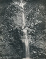 Emu Vale-vattenfallet, 1800-talet