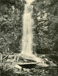 Erskine Falls, nära Lorne, 1901.