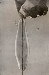 Den första elektriska glödlampan, c1916
