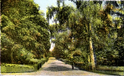 The Flower Walk, Kensington Gardens, London, 1900-talet