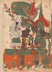 Räven och de stridande baggarna observerade av asketen, Folio från en Kalila wa Dimna, 1700-talet.