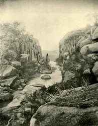 Gorge, Buffalo Falls, viktorianska alperna, 1901.