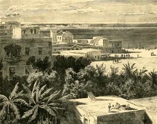 Den stora hamnen i Alexandria, 1890.