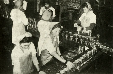 The Great Salmon Industry - Indiska flickor som arbetar på konservavdelningen, c1948.