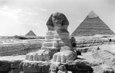 Den stora sfinxen i Giza, Egypten, maj 1949