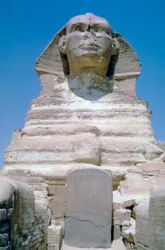 Den stora sfinxen i Giza, Giza-platån, Egypten