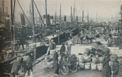 Sillsäsongen i full gång, 1937