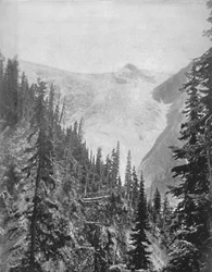 Illecillewaet-glaciären, 1800-talet