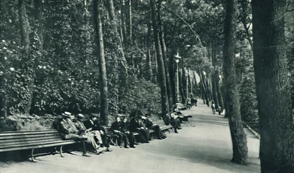 Invalids Walk, c1910