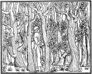 Älskaren i skogen, 1499 1964