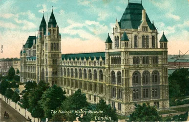 National History Museum, London, c1910.