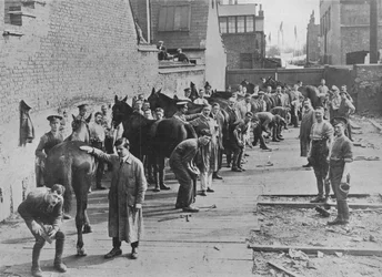 Den nya armén i utbildning vid hovslagarskolan, 1915